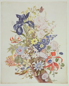 PD.915-1973 Blandede blomster i et overflødighetshorn, ca. 1768 (wc og gouache på vellum)